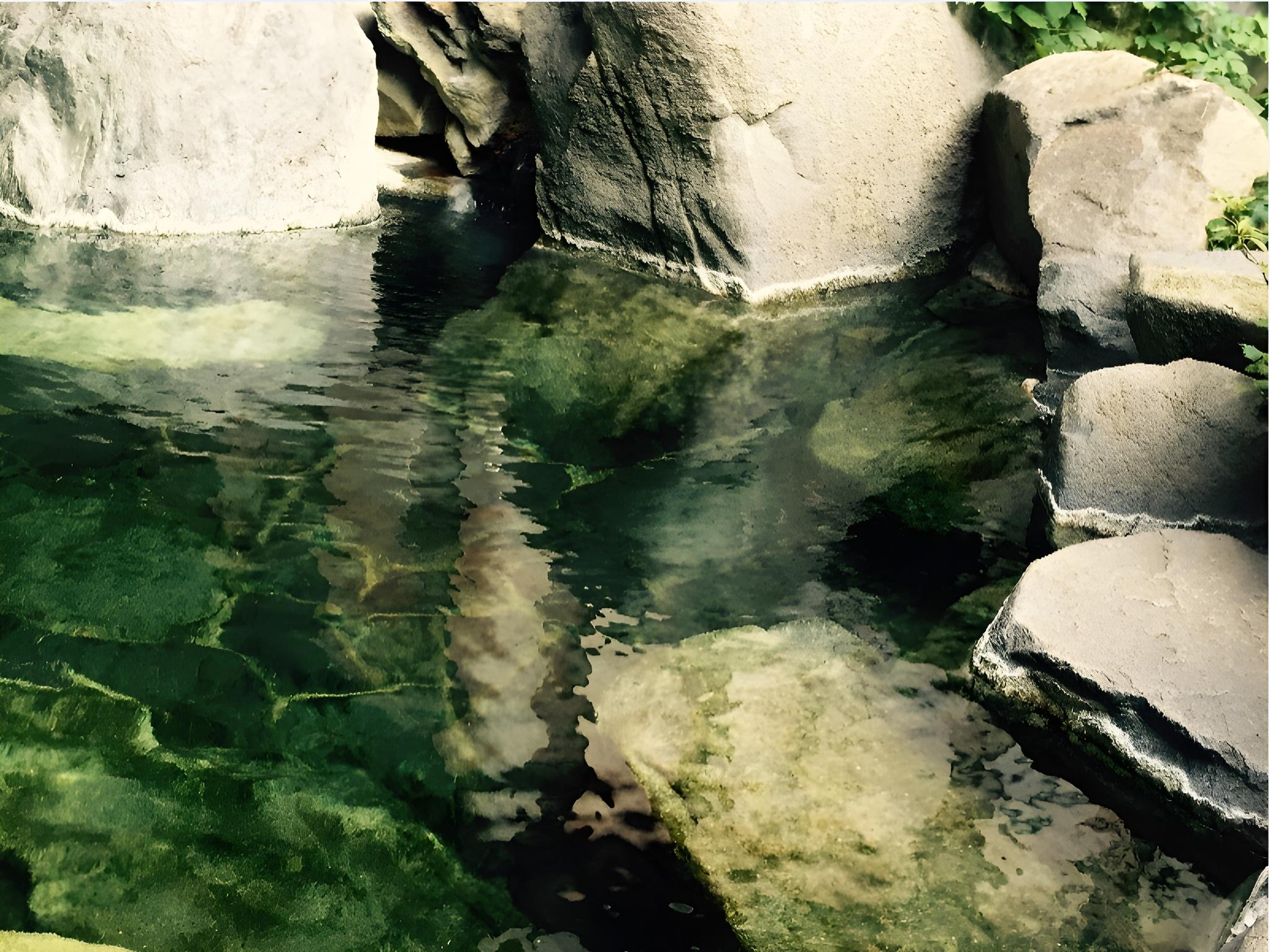 Togura kamiyamada Onsen Sanpu So 16/26