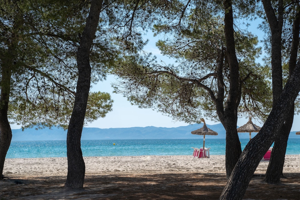 Ferrer Lime Playa de Alcudia 27/47