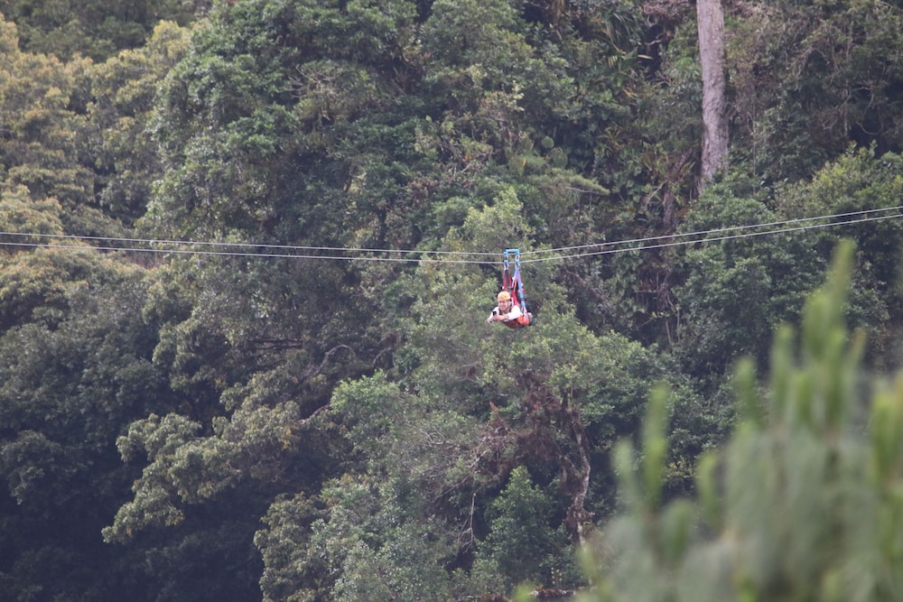 Tree Trek Boquete Adventure Park 44/50
