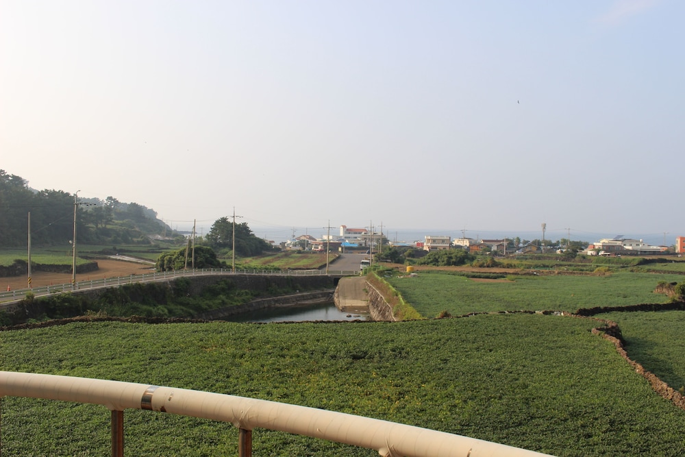 Jeju Feel House 38/50