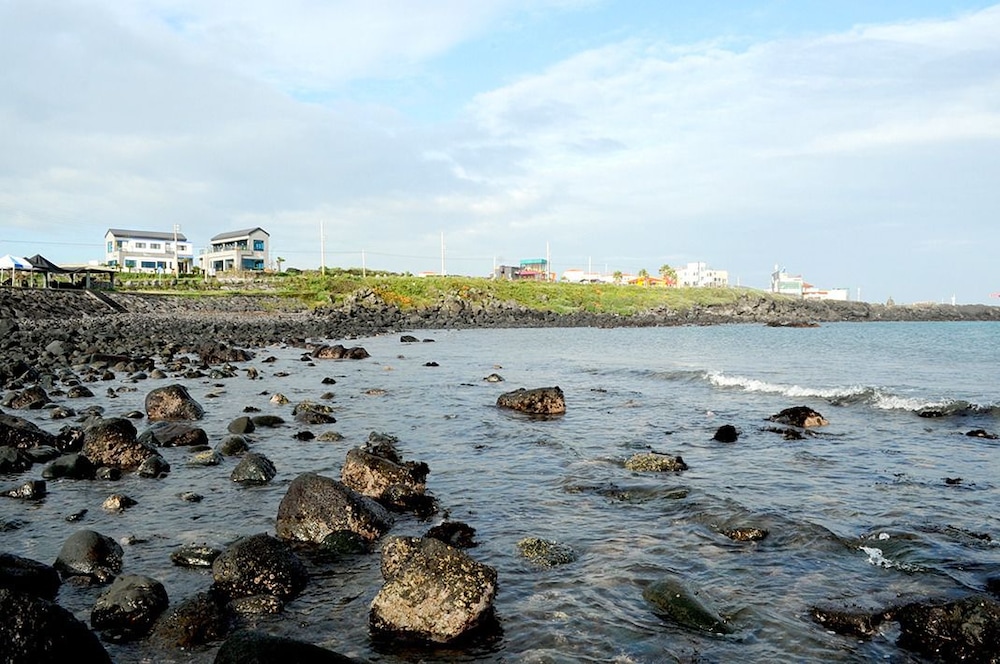 Dalja Pension 19/25