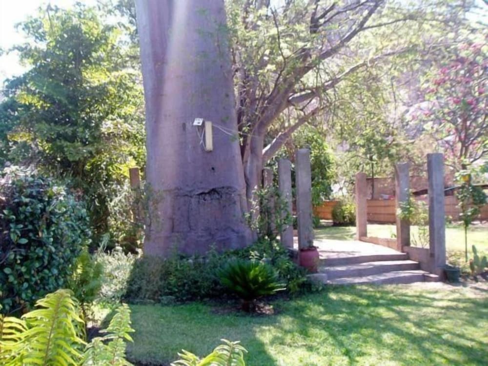 Nkhudzi Lodge 30/50