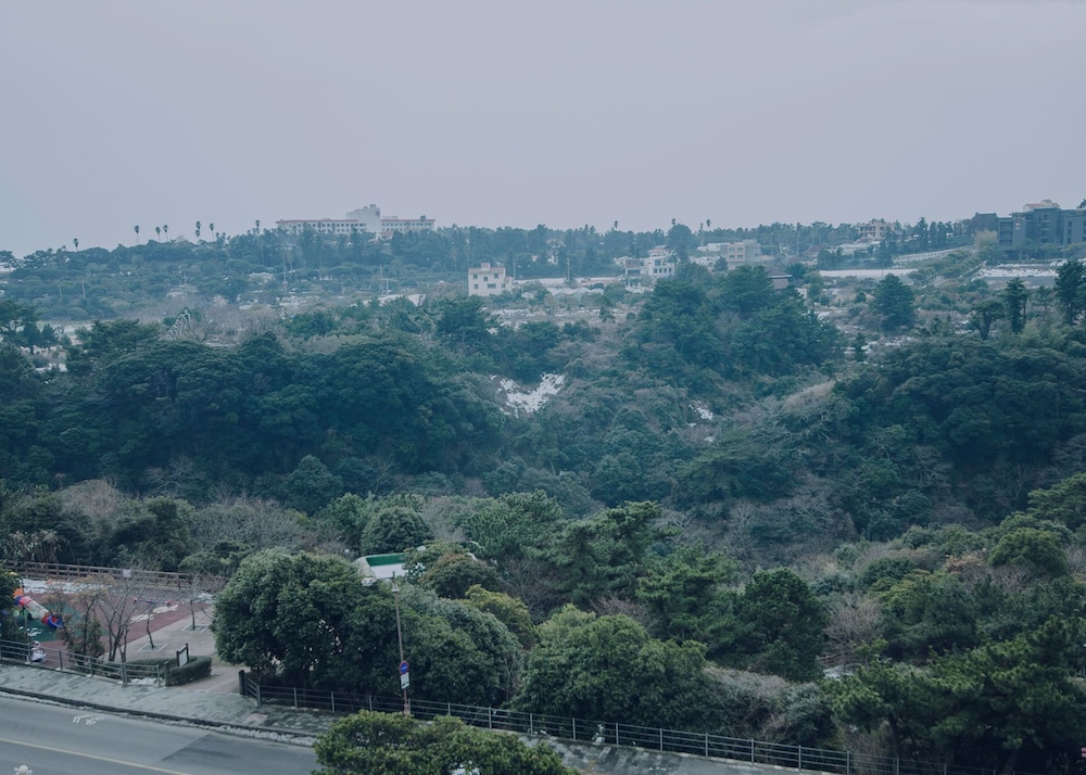 Hotel Lavender Jeju 20/22
