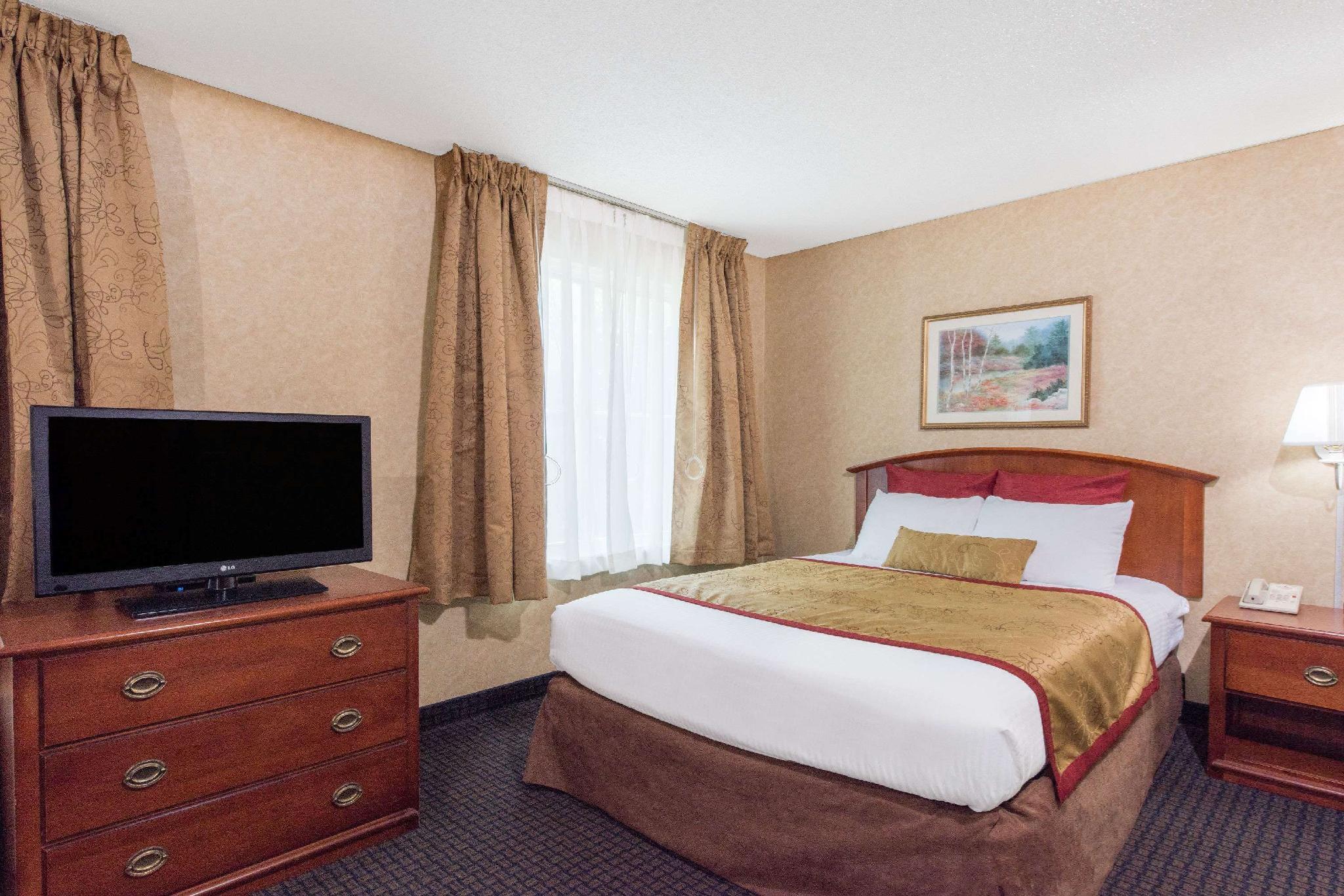 Suite, Queen Bed, Sofa, Accessible