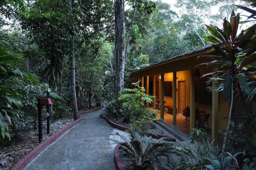 Amazon Ecopark Jungle Lodge 4/50