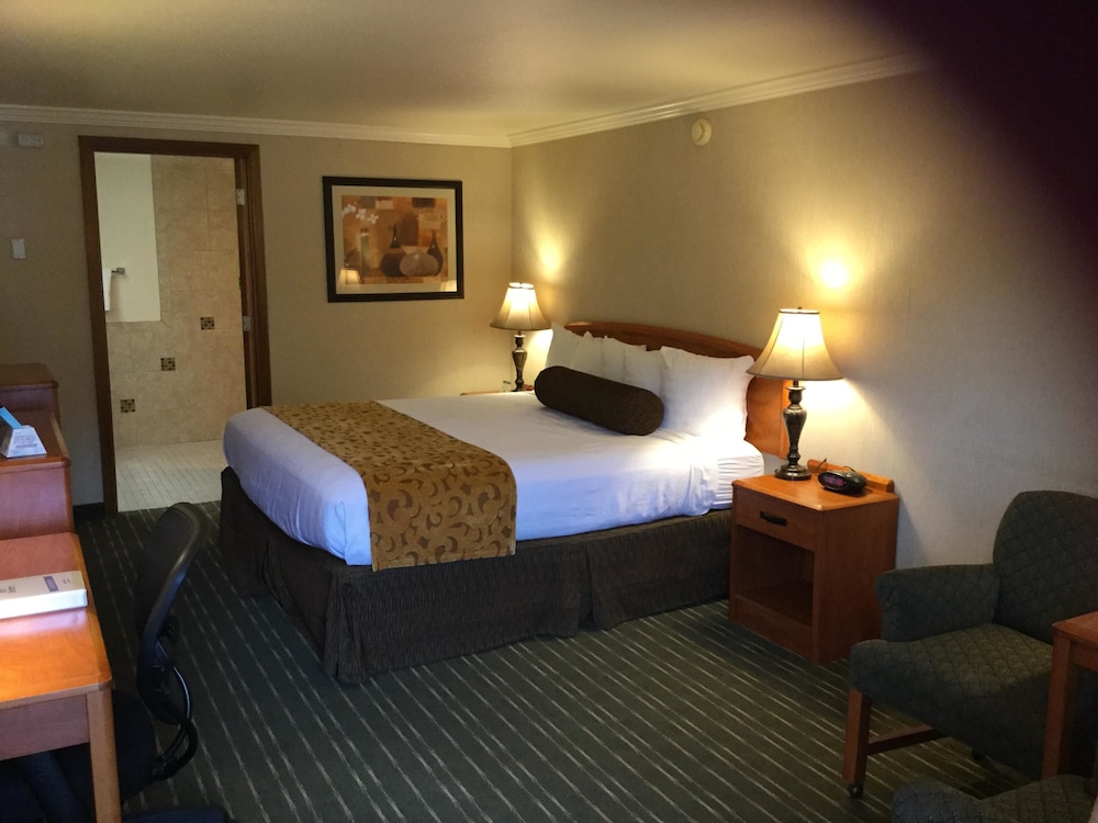 Best Western Holiday Hotel 7/18