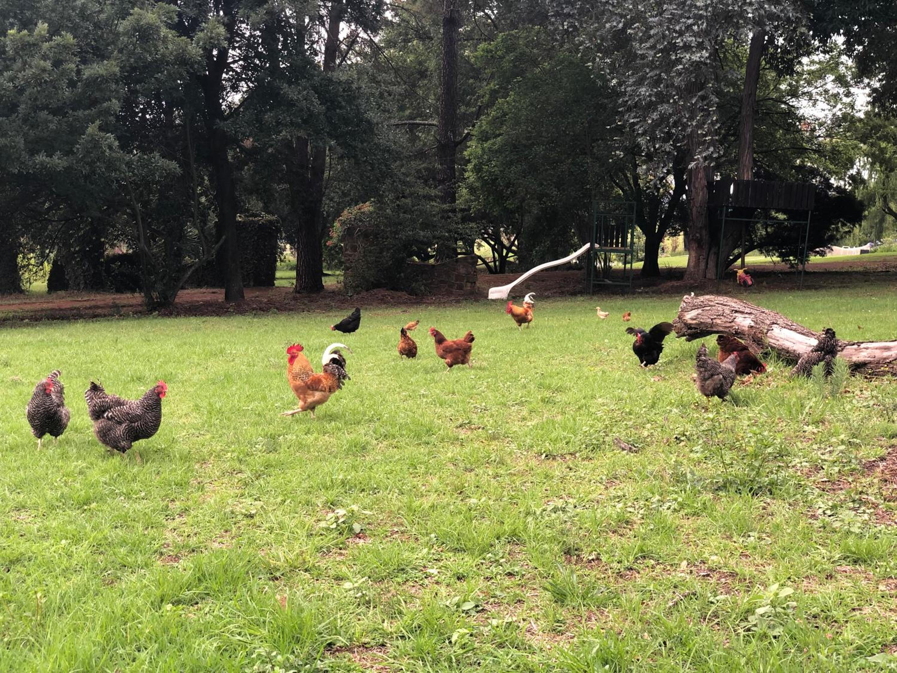 Tegwaan Country Getaway 38/44