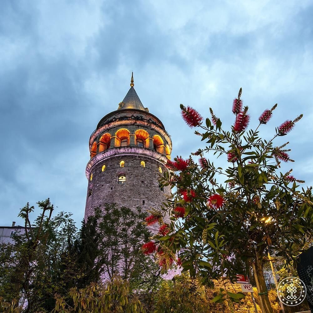Grand Vatan Hotel 6/50