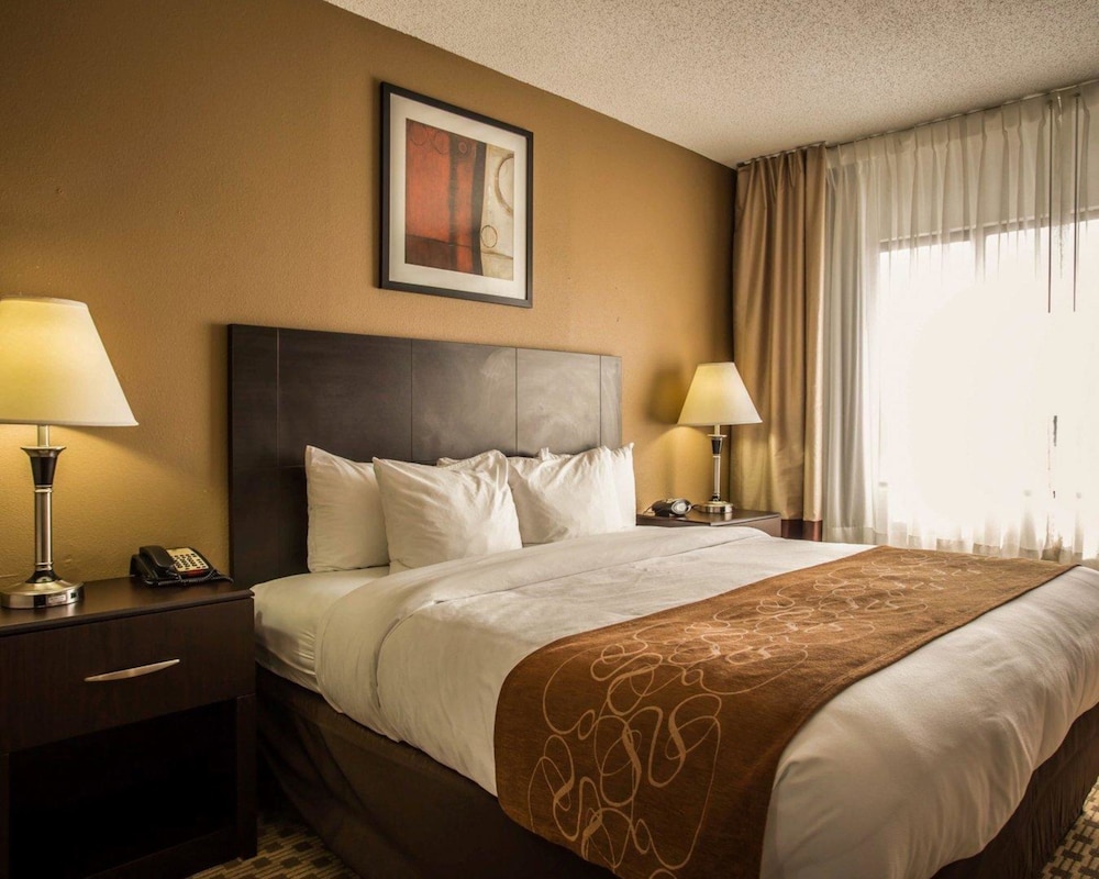 Comfort Suites Lumberton North 19/53