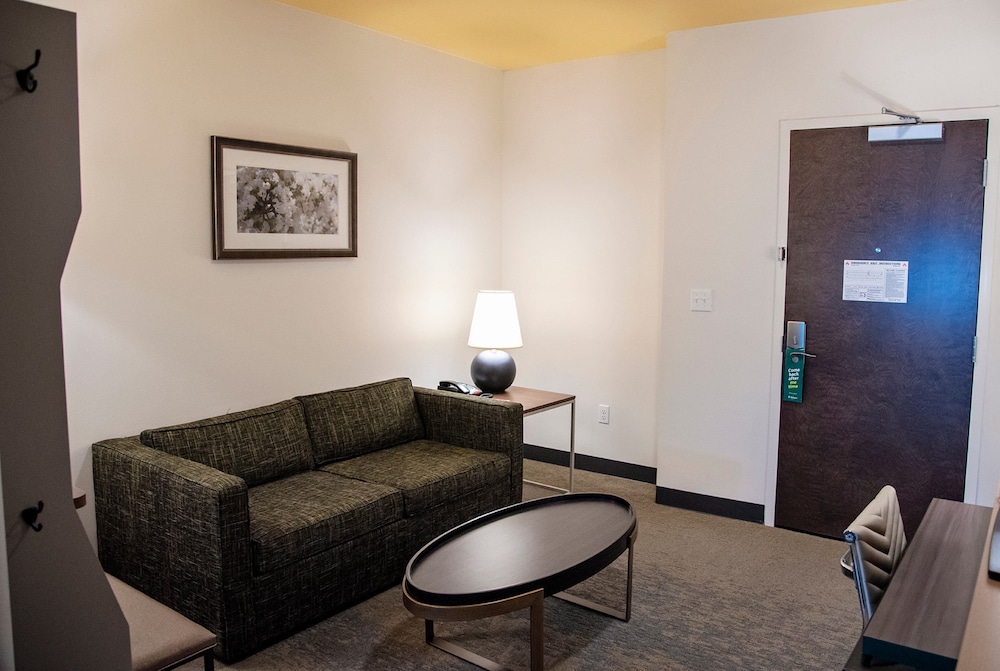 Holiday Inn Suites Savannah Airport Pooler 43/74