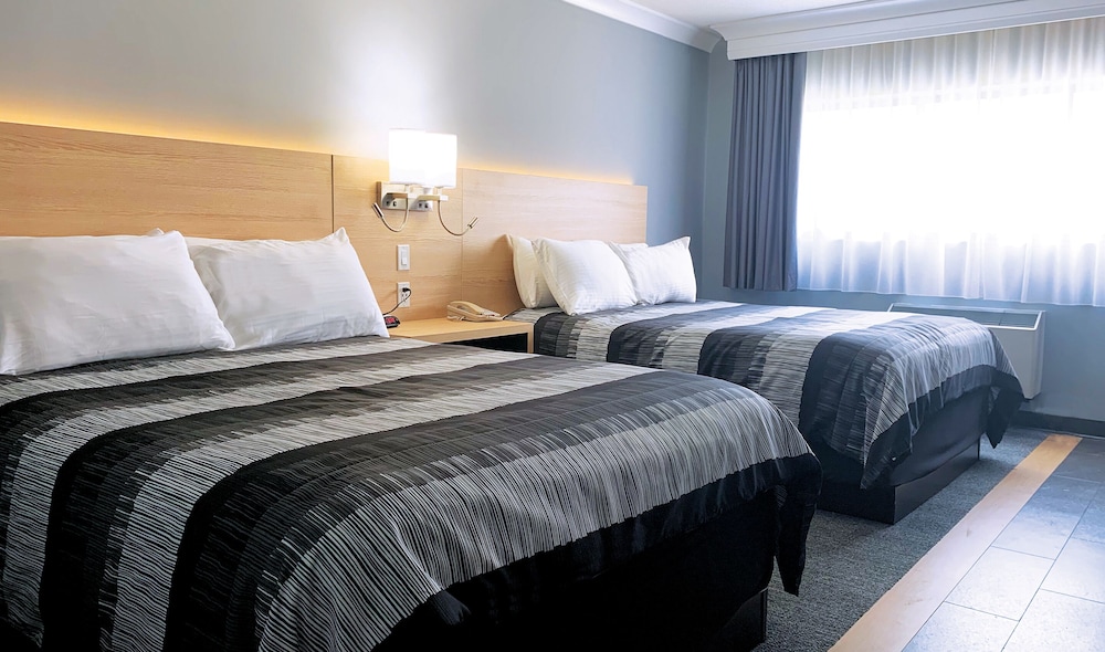 Americana Conference Resort And Spa 8/50
