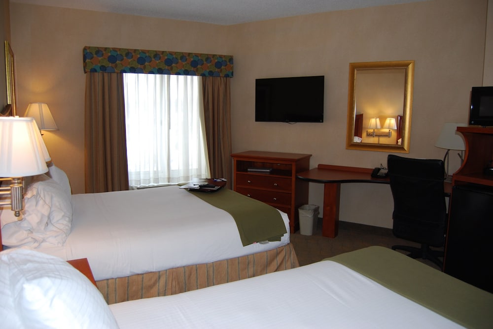 Holiday Inn Express Hotel Suites Auburn Hills 17/65
