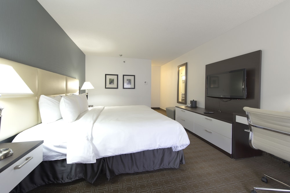 Toronto Don Valley Hotel Suites 17/31