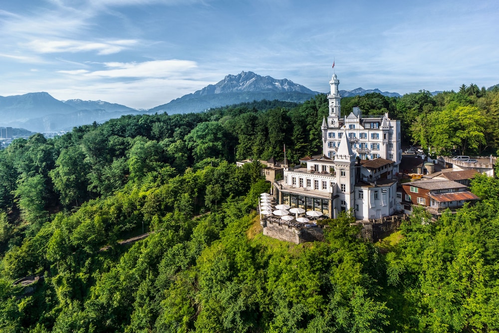 Chateau Gütsch 39/79