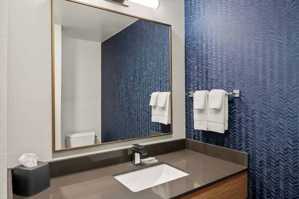 استوديو بسرير كينج مع أريكة لذوي الإعاقة، Fairfield Inn Suites By Marriott New Buffalo 2/4
