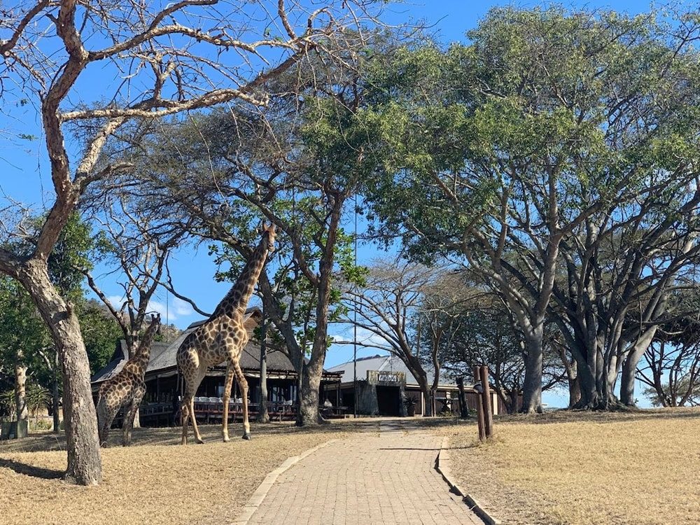 Likweti Lodge 41/45