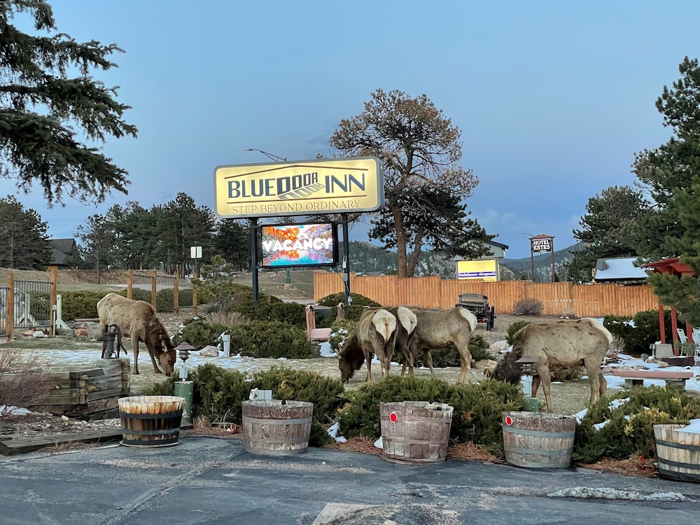 Blue Door Inn 2/50