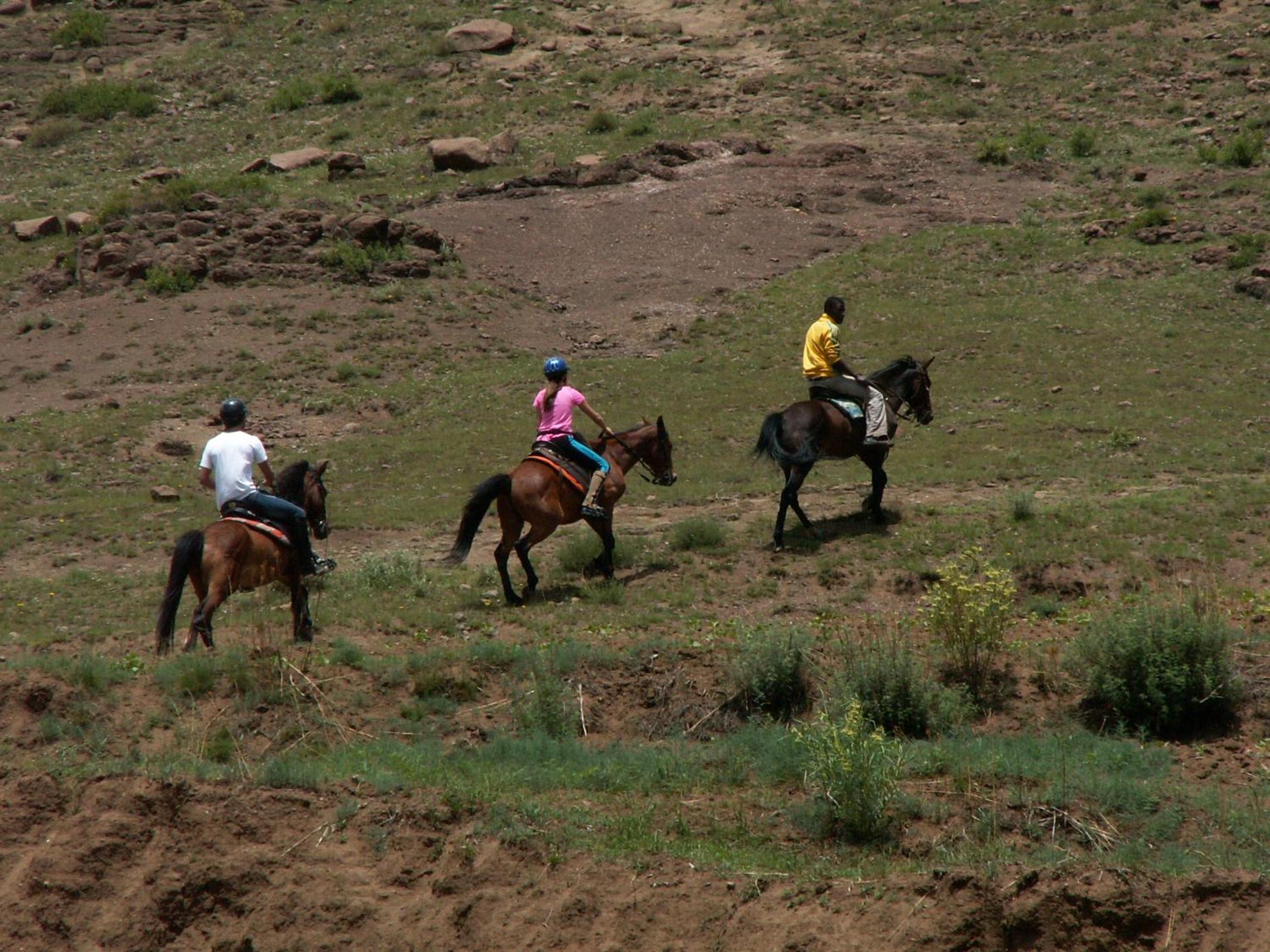 Sani Lodge Backpackers 38/50
