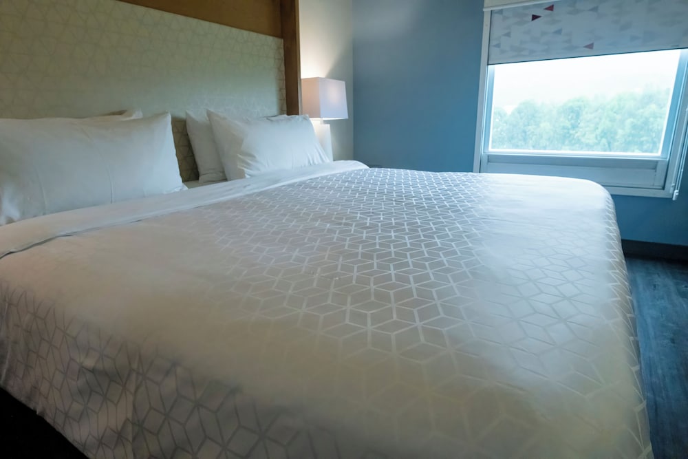 غرفة قياسية بسرير فردي، Holiday Inn Uruapan 8/10