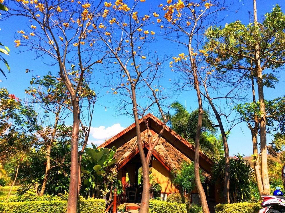 PURA VIDA PAI RESORT 36/65