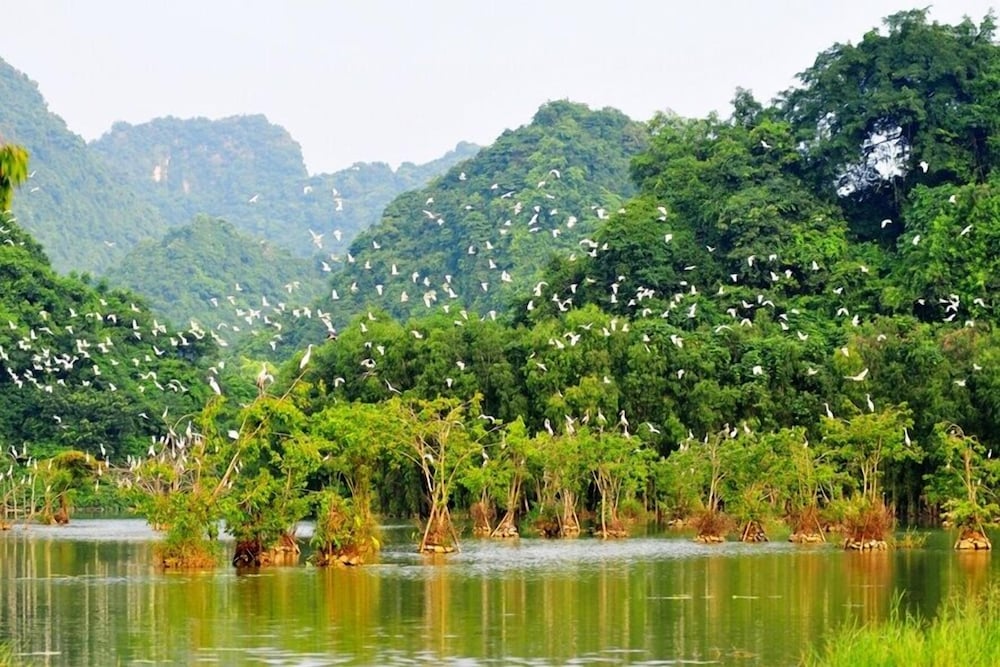 Tam Coc Mandala Villa & Homestay 43/50