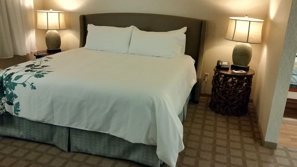 غرفة بسرير كينج لذوي الإعاقة، Wingate by Wyndham Elkins 2/6