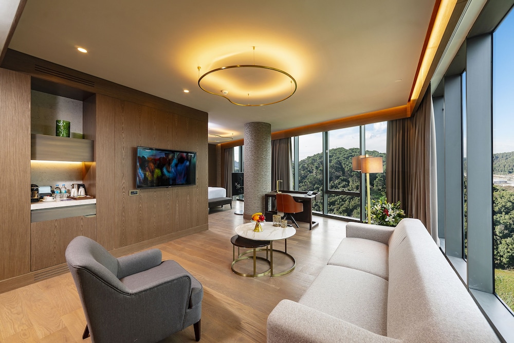 Radisson Collection Hotel Vadistanbul 43/75