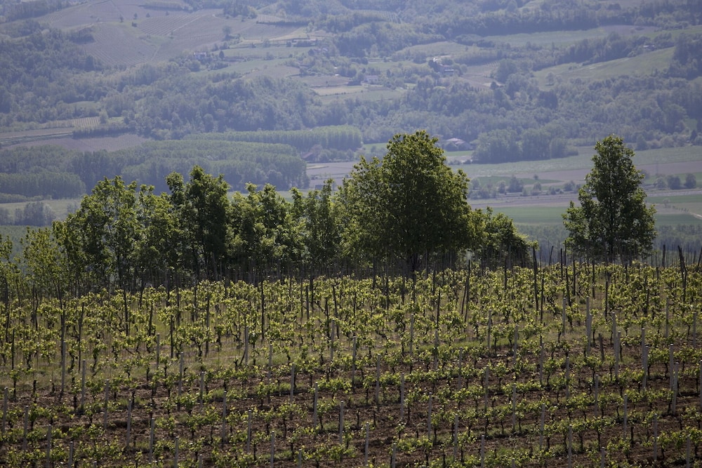 Cascina Marcantonio 45/49