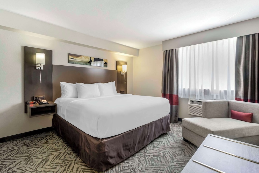 Upgrade, Suite, King Bed, Sofa, Accessible