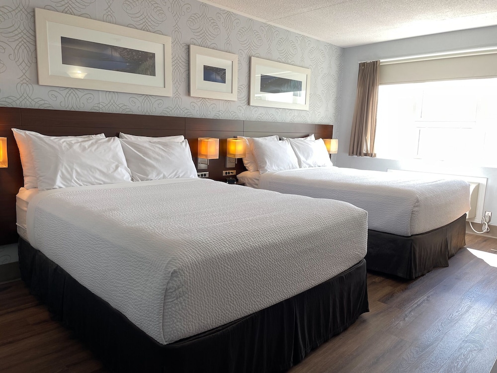 RODD MONCTON 13/50