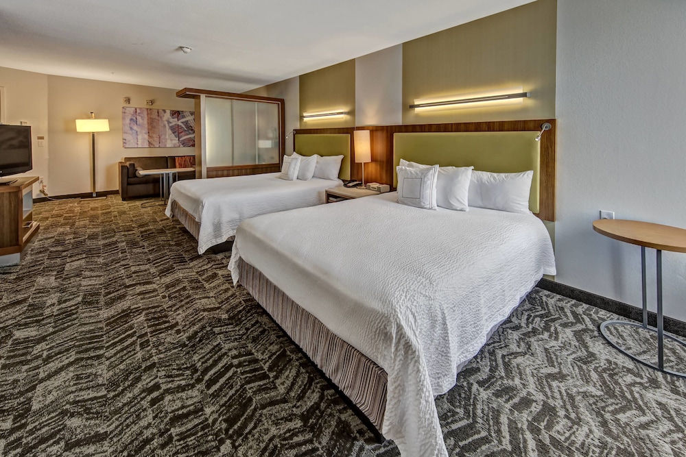 SpringHill Suites by Marriott Oklahoma City Moore 9/32