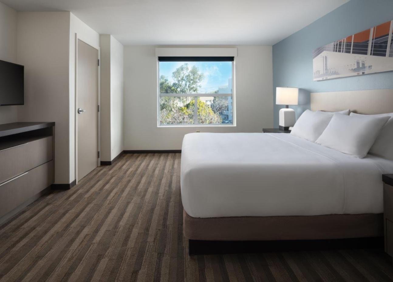 1 Bedroom, Specialty, Suite, King Bed, Sofa, Kitchen, Accessible