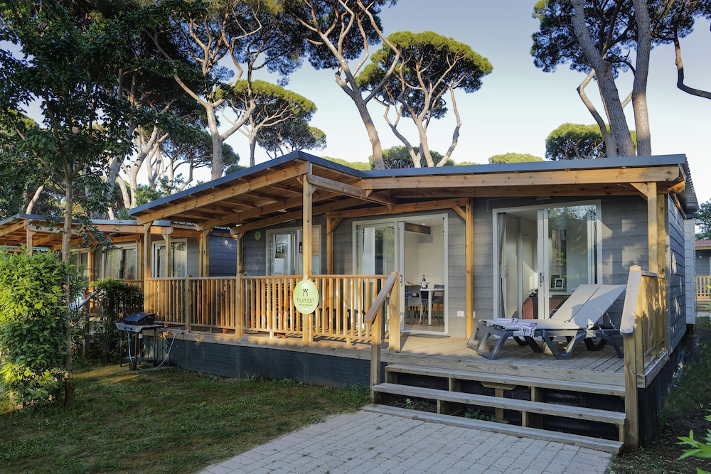 Norcenni Girasole Club 6/50