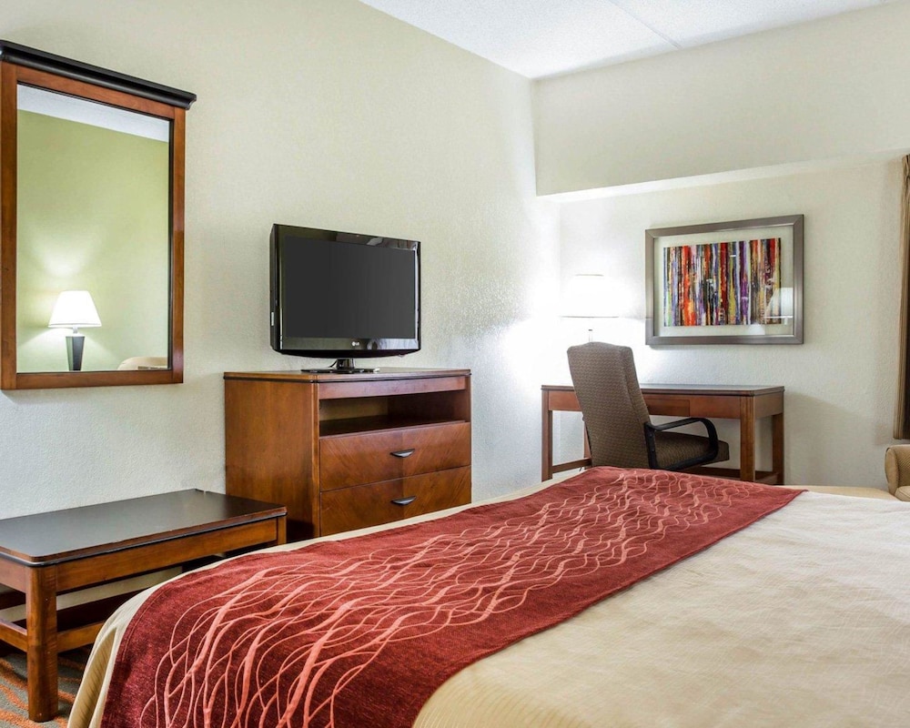 Comfort Inn Conyers, GA 18/47