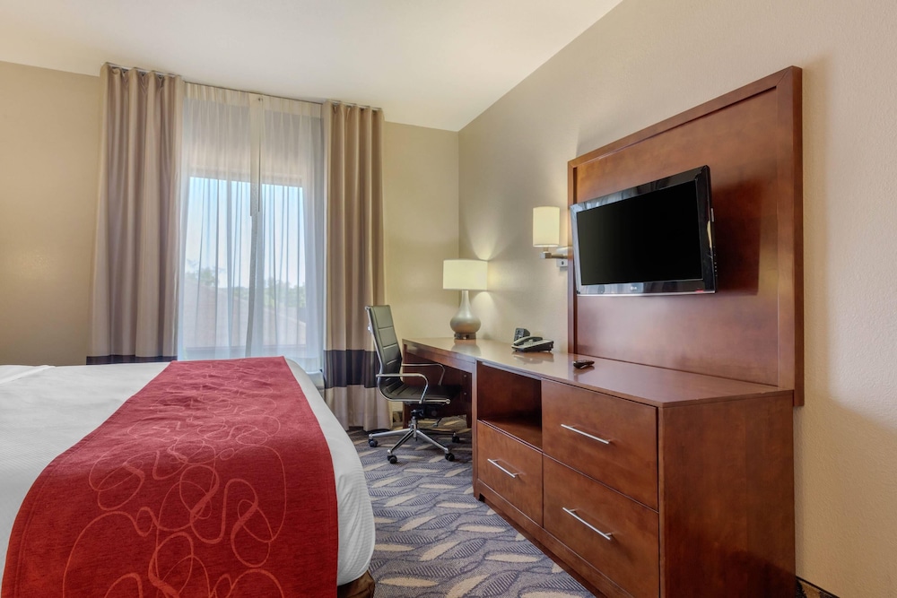 Upgrade, Suite, King Bed