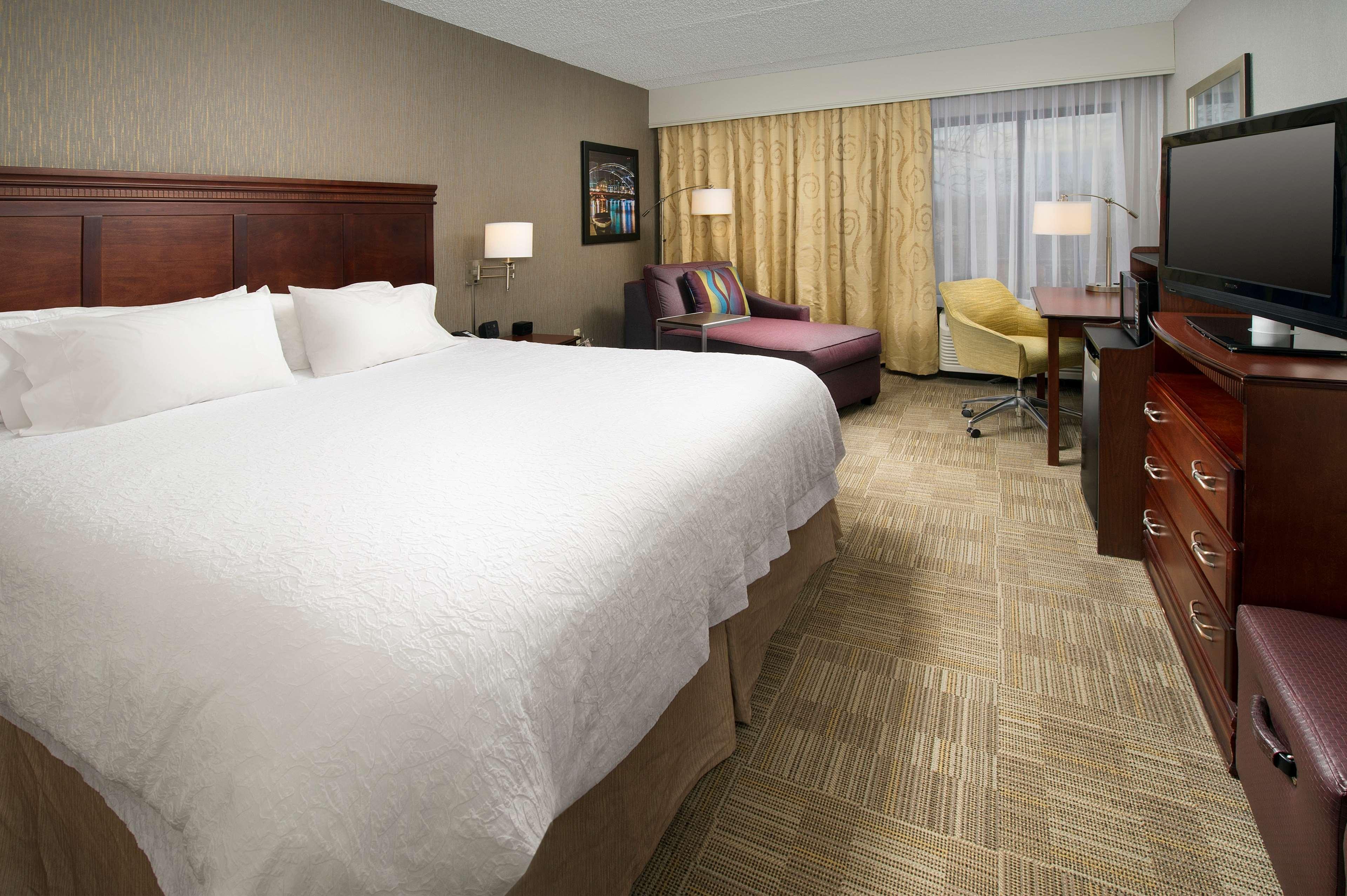 Room, King Bed, Chaise Lounge