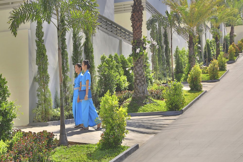Samui Blue Orchid 4/37