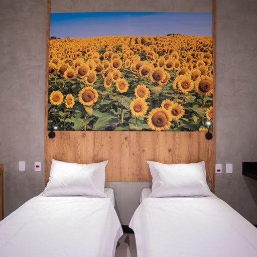 Campos de Holambra Inn 30/50