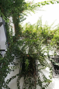 Riad Begonville 47/54