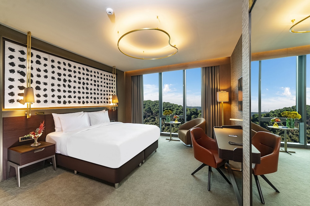 Radisson Collection Hotel Vadistanbul 17/75