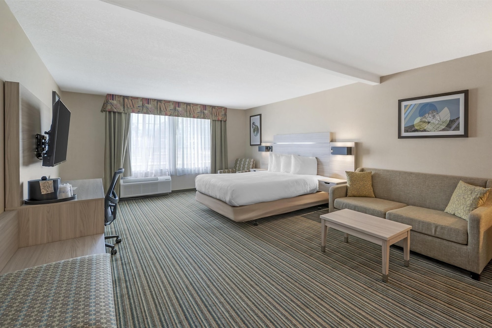 جناح بسرير كينج مع أريكة لذوي الإعاقة، Best Western Plus Twin View Inn & Suites 6/7