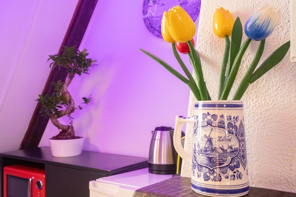 Tulip of Amsterdam B&B 24/33