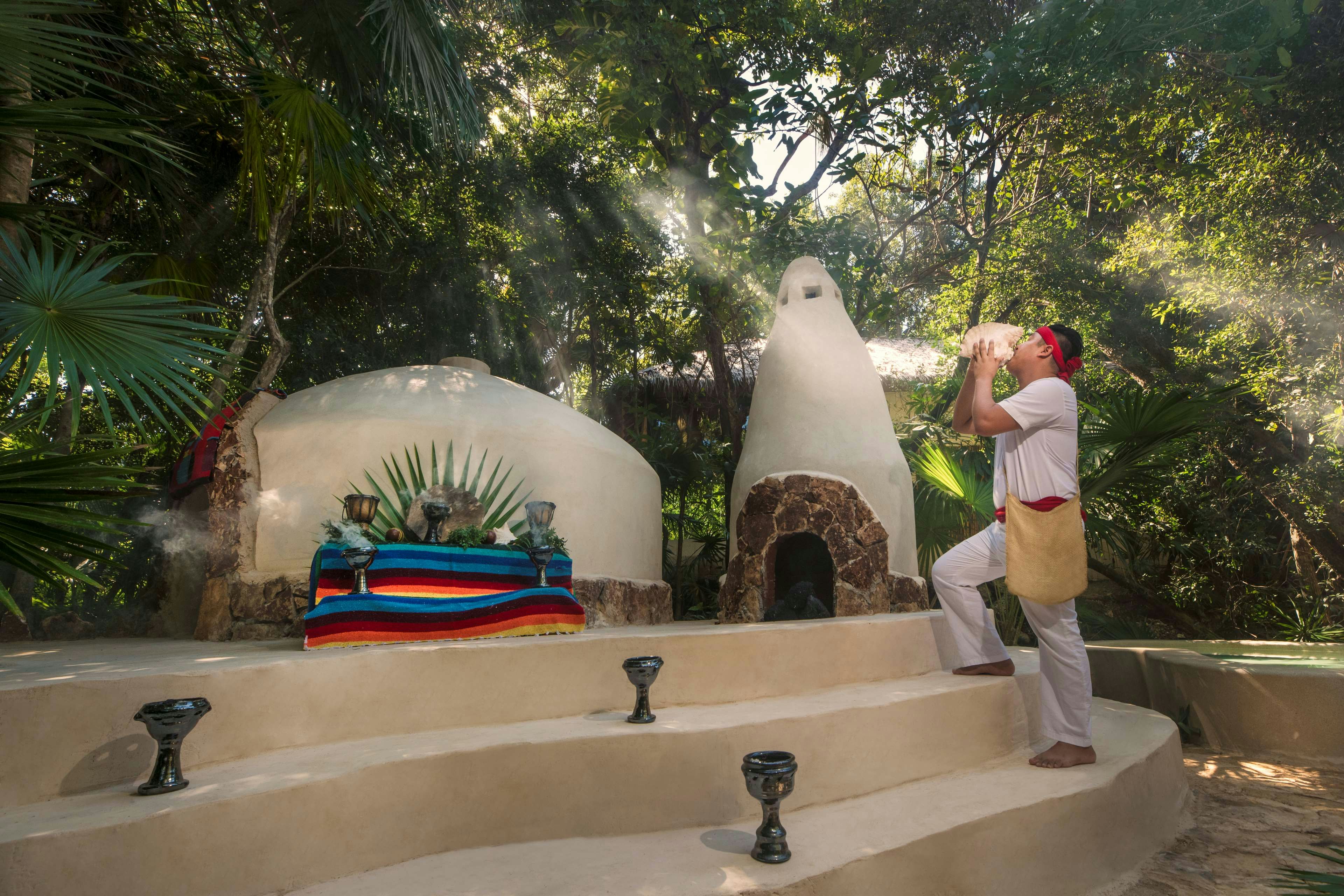 Viceroy Riviera Maya, a Luxury Villa Resort - Adults Only 14/80