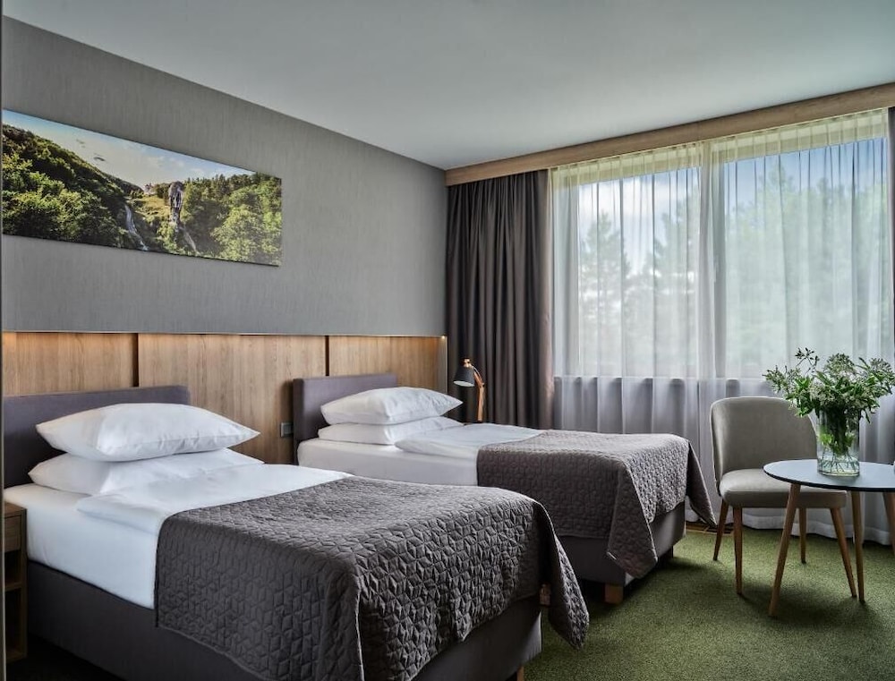 Witek Hotel 10/50