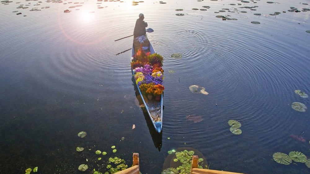 Houseboat Zaindari Palace 34/45