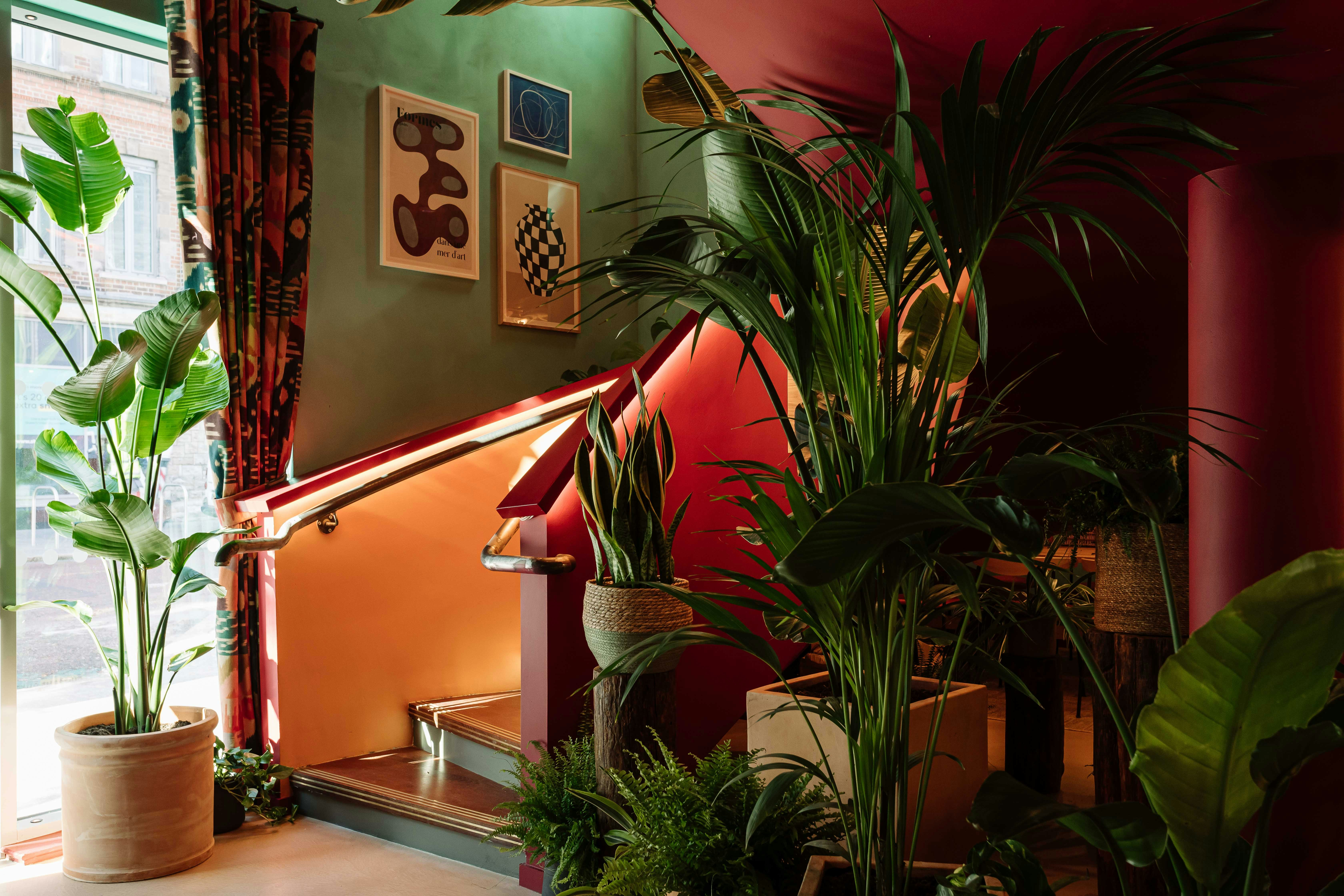 Lobby at Second Nature Belfast, BELFAST
