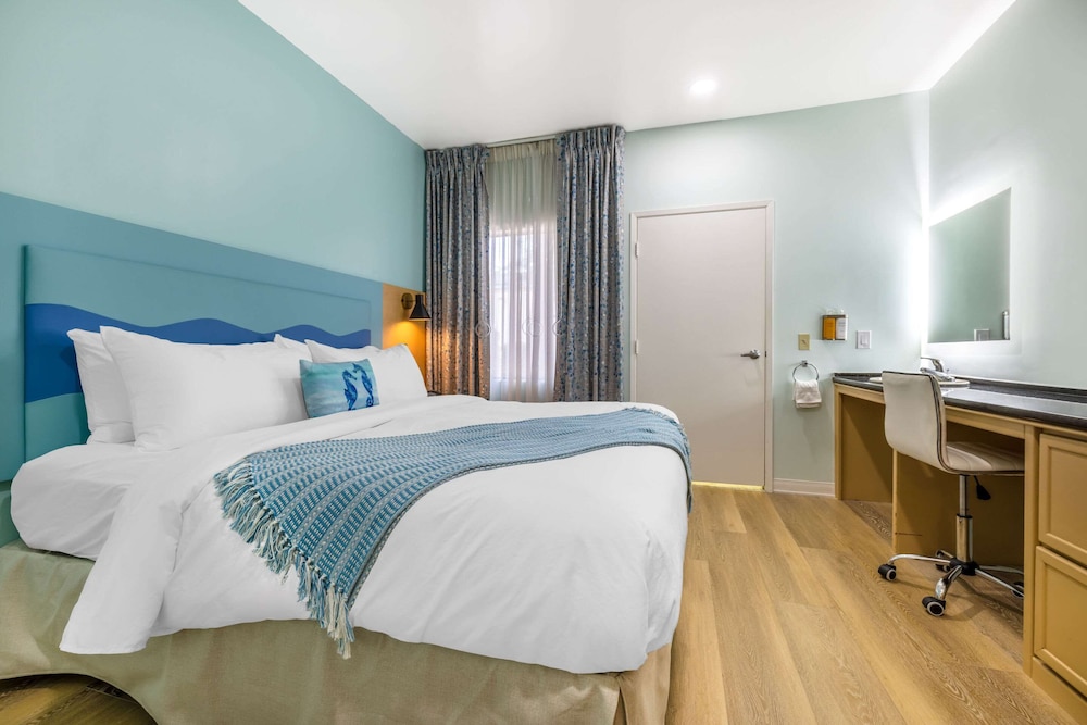 Suite, King Bed, Sofa, Accessible