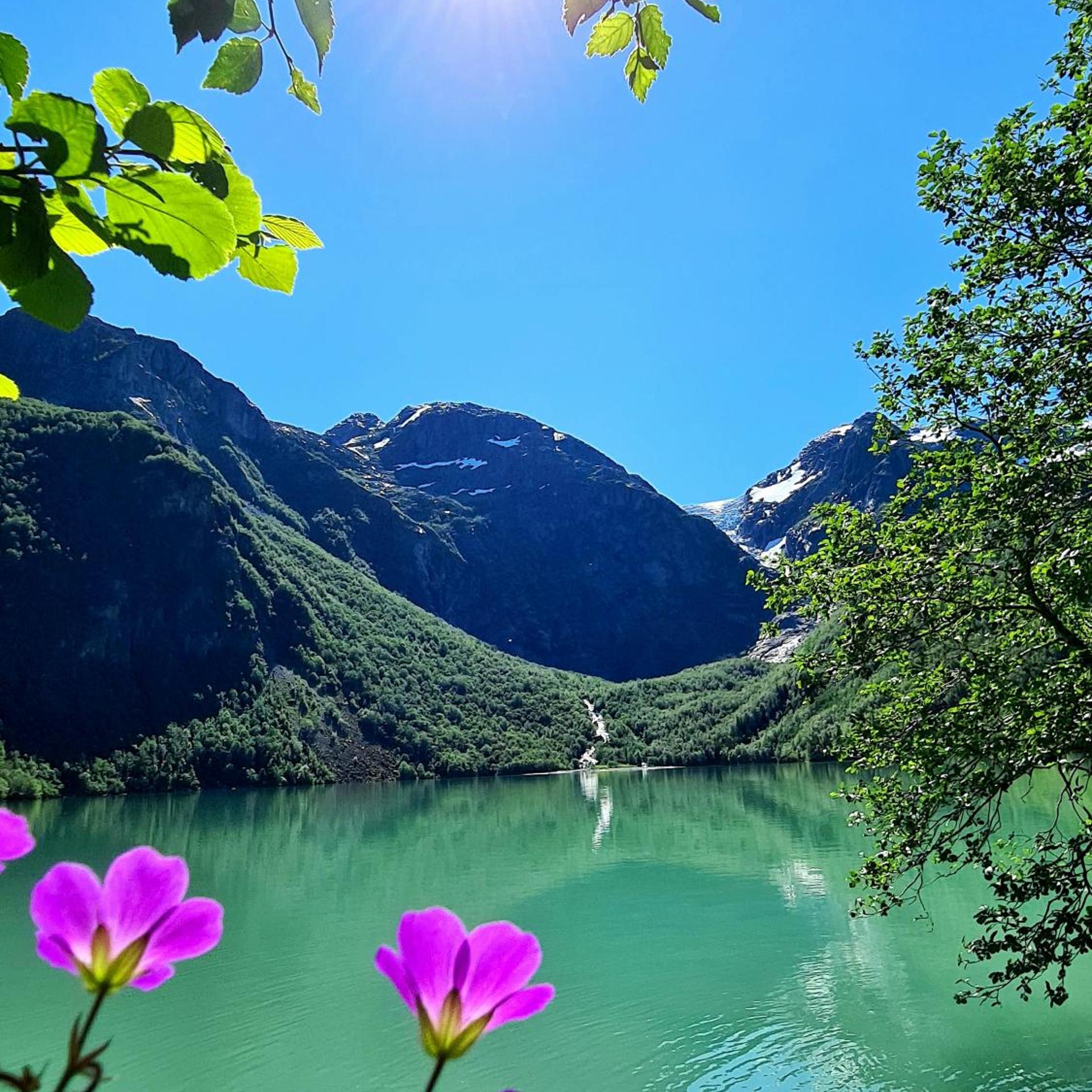 Rosendal Fjordhotel 44/50