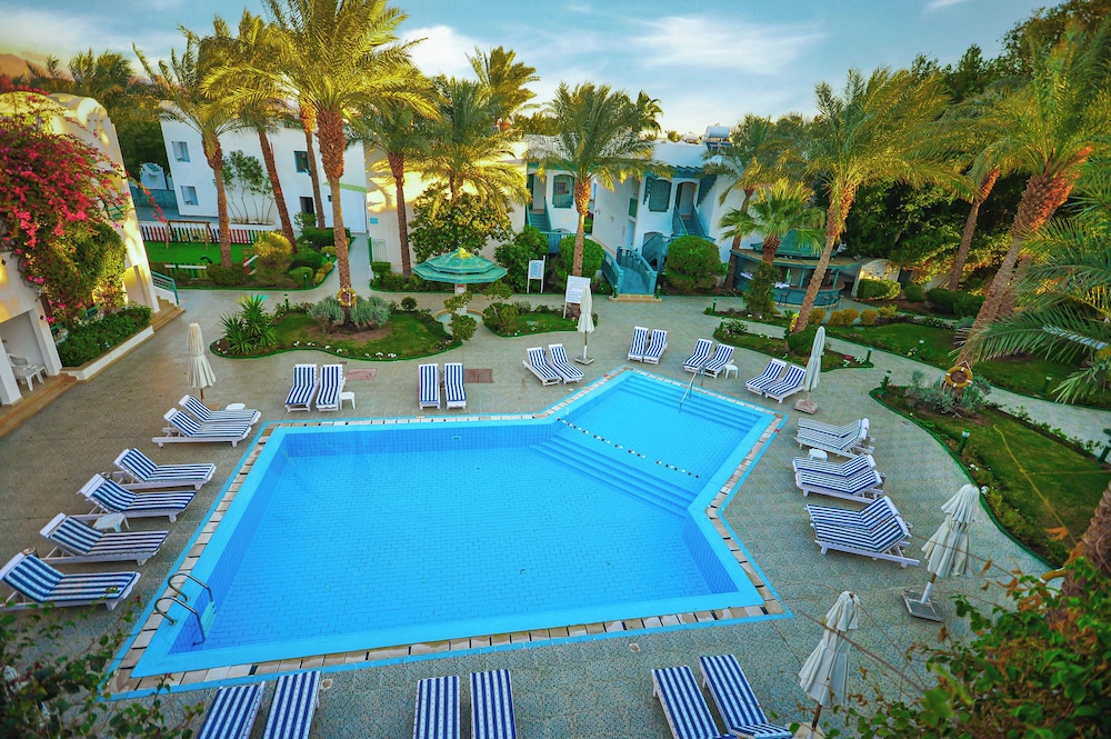 swimming pool spa