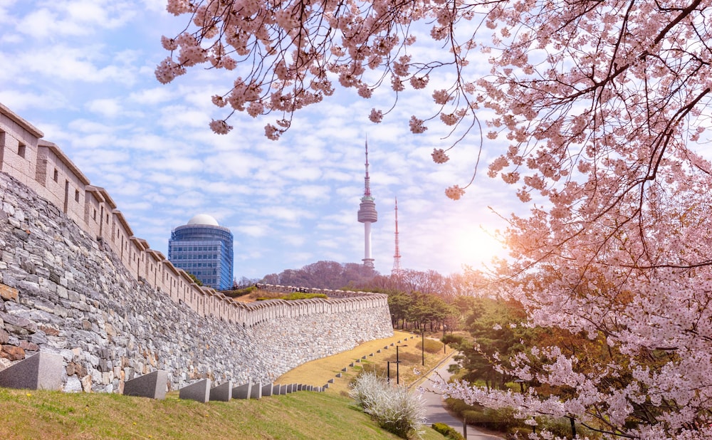 Moxy Seoul Insadong 50/55